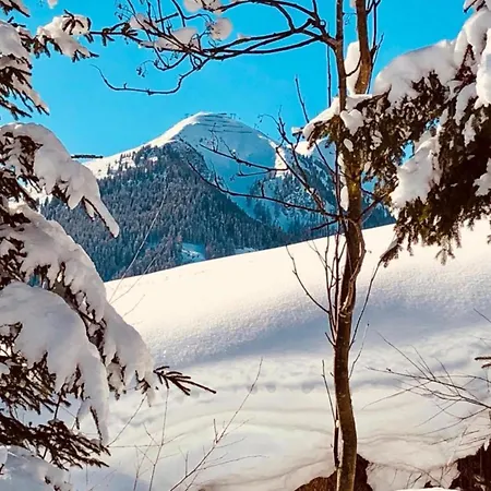 In Near Slopes Appartement *