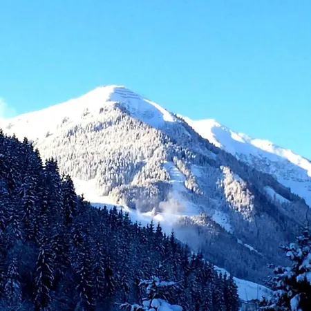 In Near Slopes * Σάαλμπαχ-Χίντεργκλεμ