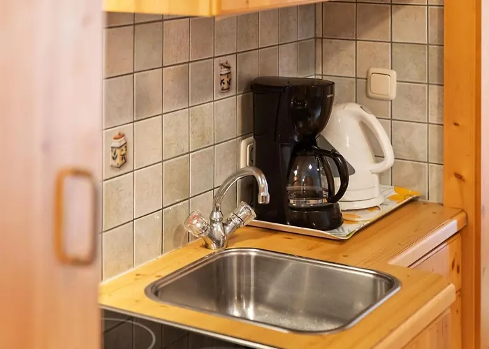 In Near Slopes アパート ザールバッハ・ヒンターグレム