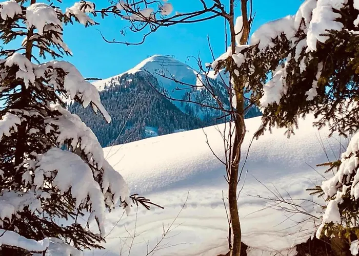 In Near Slopes アパート *
