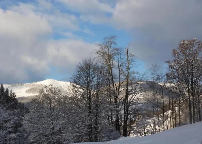 In Near Slopes *